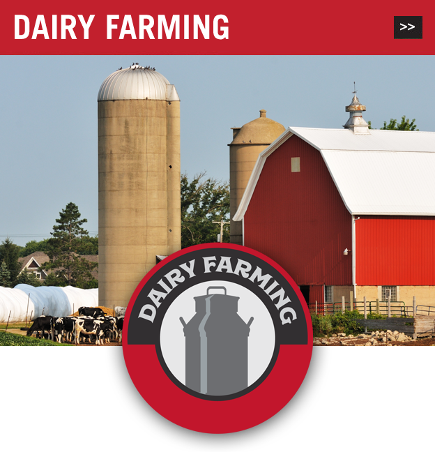 dairy farming